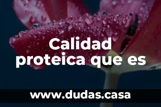 Calidad proteica que es