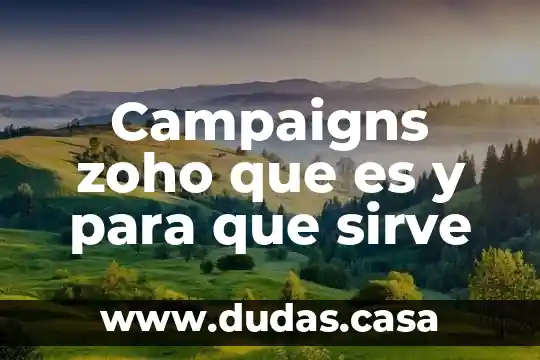 Campaigns zoho que es y para que sirve