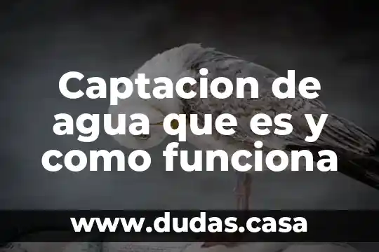 Captacion de agua que es y como funciona