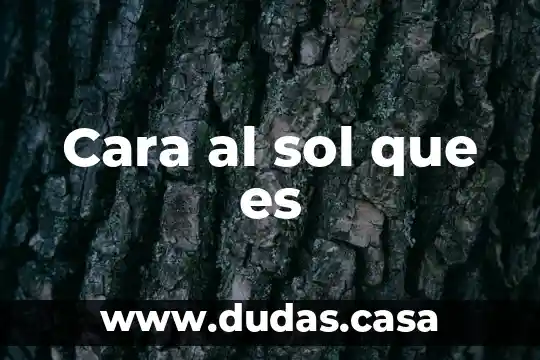 Cara al sol que es