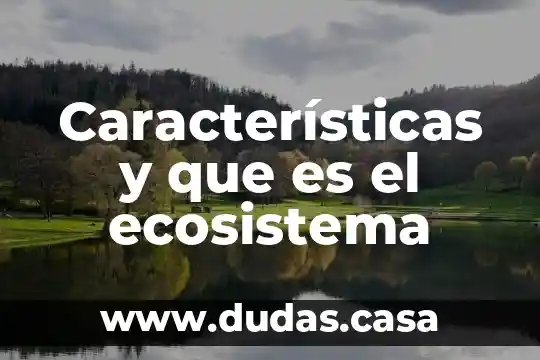 Características y que es el ecosistema