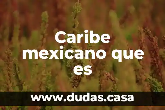 Caribe mexicano que es