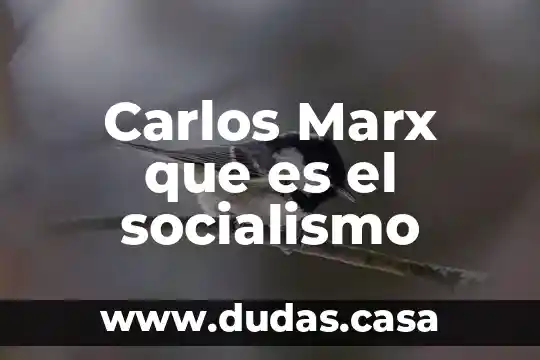 Carlos Marx que es el socialismo
