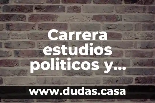 Carrera estudios politicos y gobierno que es