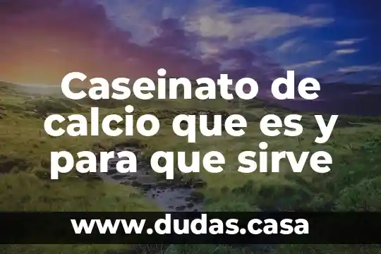 Caseinato de calcio que es y para que sirve