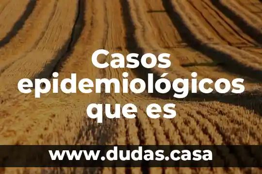 Casos epidemiológicos que es
