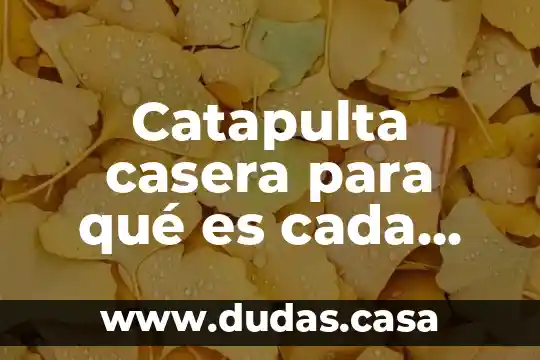 Catapulta casera para qué es cada material