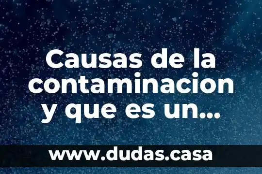 Causas de la contaminacion y que es un problema ambiental