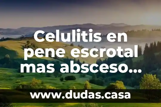 Celulitis en pene escrotal mas absceso prepucial que es