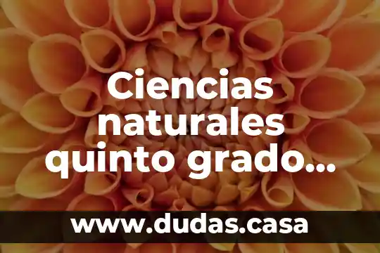 Ciencias naturales quinto grado que es solucion