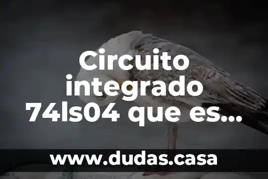 Circuito integrado 74ls04 que es y que hace