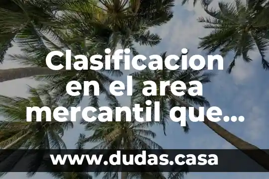 Clasificacion en el area mercantil que es