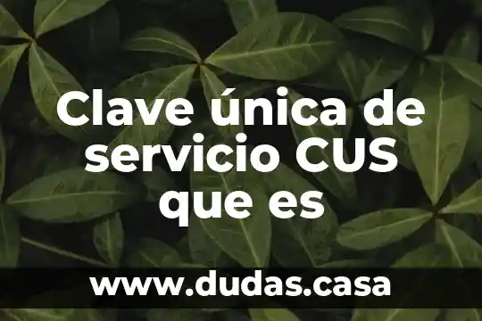 Clave única de servicio CUS que es