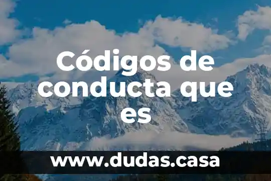 Códigos de conducta que es