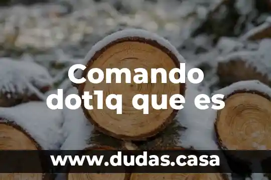 Comando dot1q que es