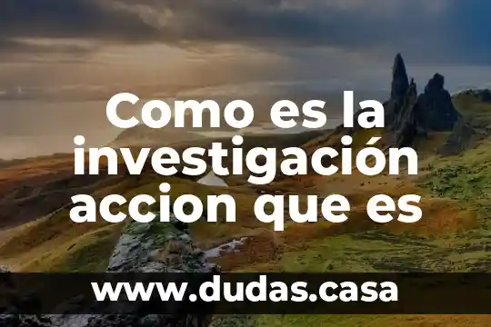 Como es la investigación accion que es