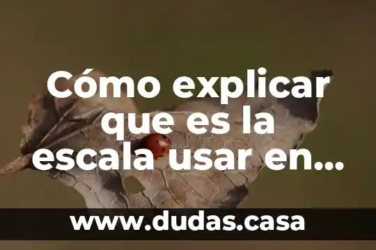 Cómo explicar que es la escala usar en un plano