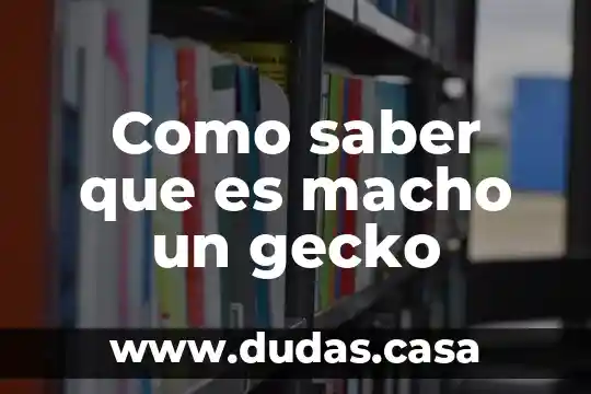 Como saber que es macho un gecko