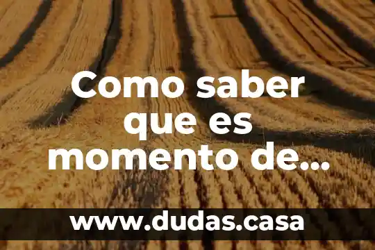 Como saber que es momento de innovar