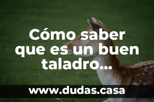 Cómo saber que es un buen taladro inalámbrico