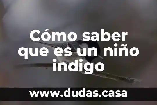 Cómo saber que es un niño indigo