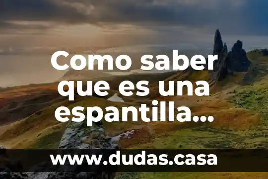 Como saber que es una espantilla original de mariely monroe
