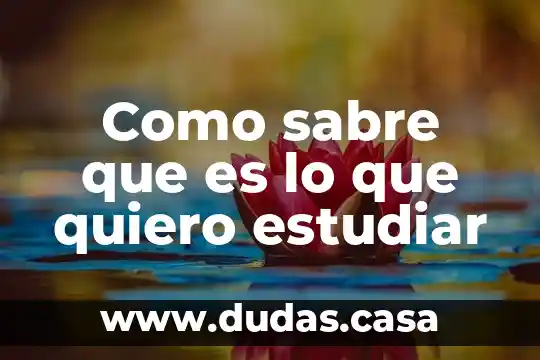 Como sabre que es lo que quiero estudiar