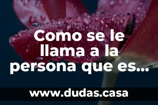 Como se le llama a la persona que es muy negativa