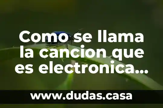 Como se llama la cancion que es electronica y arabe