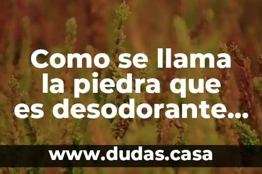 Como se llama la piedra que es desodorante natural