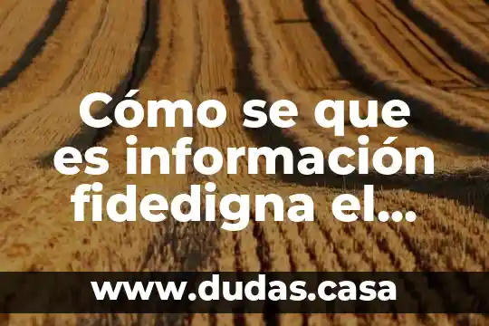 Cómo se que es información fidedigna el clima