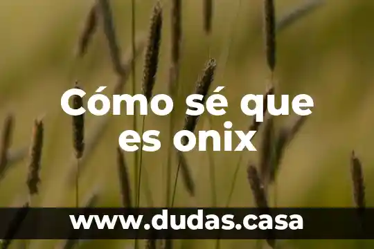 Cómo sé que es onix