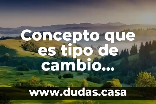 Concepto que es tipo de cambio inflación inversión