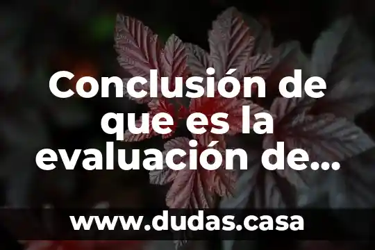 Conclusión de que es la evaluación de proyecto social