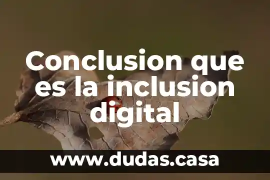 Conclusion que es la inclusion digital
