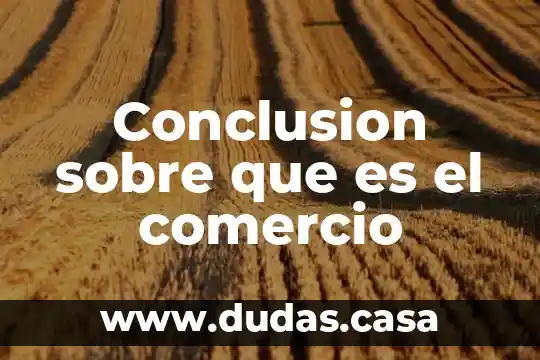 Conclusion sobre que es el comercio