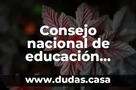 Consejo nacional de educación superior que es