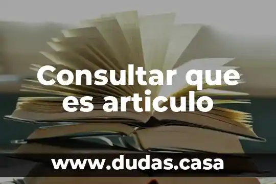 Consultar que es articulo