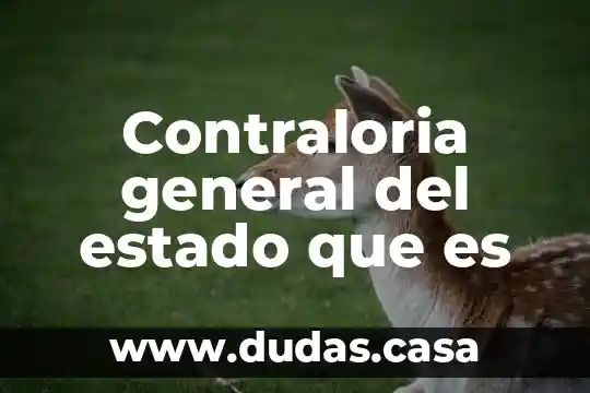 Contraloria general del estado que es