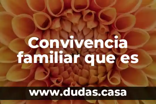 Convivencia familiar que es