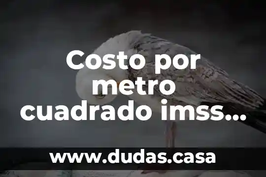 Costo por metro cuadrado imss que es