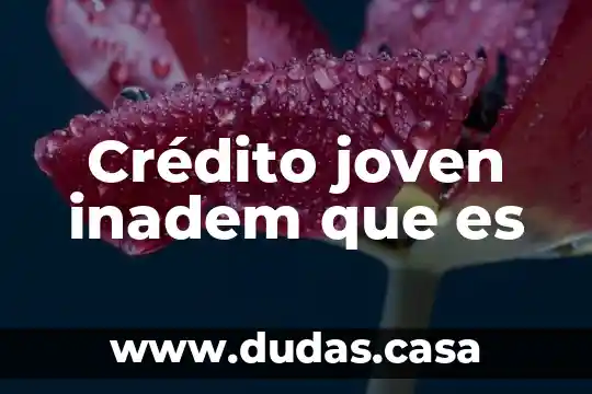 Crédito joven inadem que es