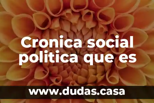 Cronica social politica que es