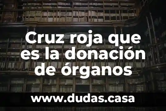 Cruz roja que es la donación de órganos