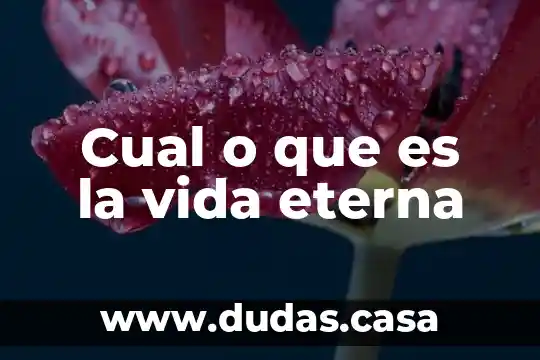 Cual o que es la vida eterna