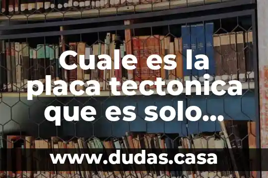 Cuale es la placa tectonica que es solo oceanica
