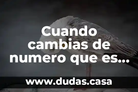 Cuando cambias de numero que es lo que se borra