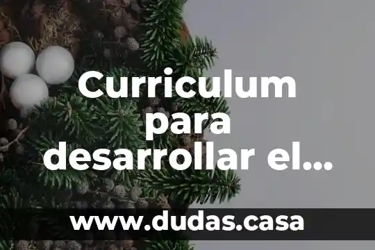 Curriculum para desarrollar el pensamiento que es