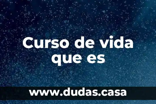 Curso de vida que es