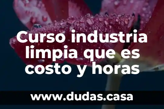 Curso industria limpia que es costo y horas